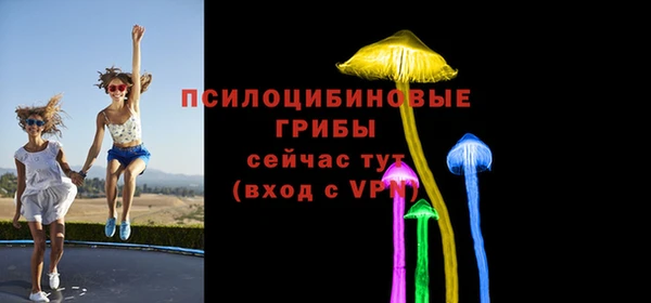 ALPHA-PVP Кинешма