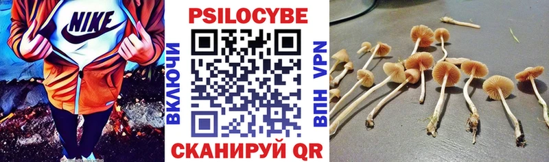 Псилоцибиновые грибы Cubensis Купить где Углич